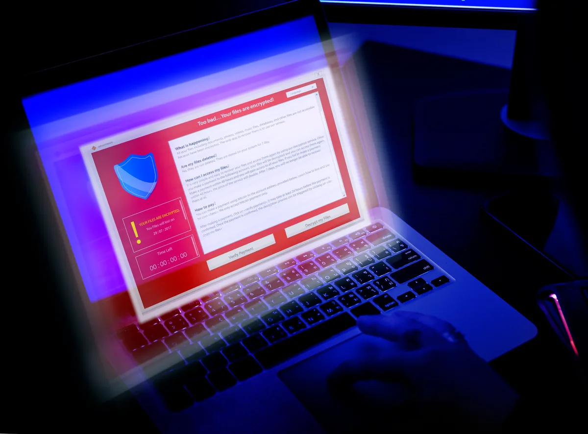 Sécuriser son site web en 2026 : guide par CMS WordPress, Shopify, Wix, Next.js